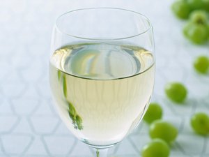 方案常见问题解答合集